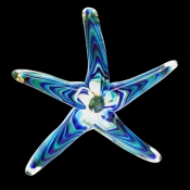 seastar1